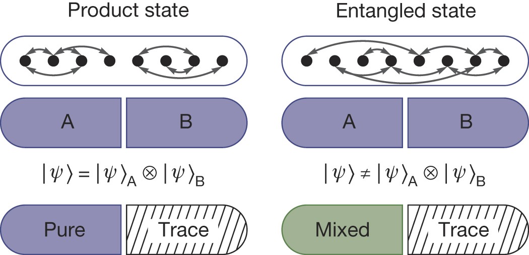 Entanglement in many-body localized systems